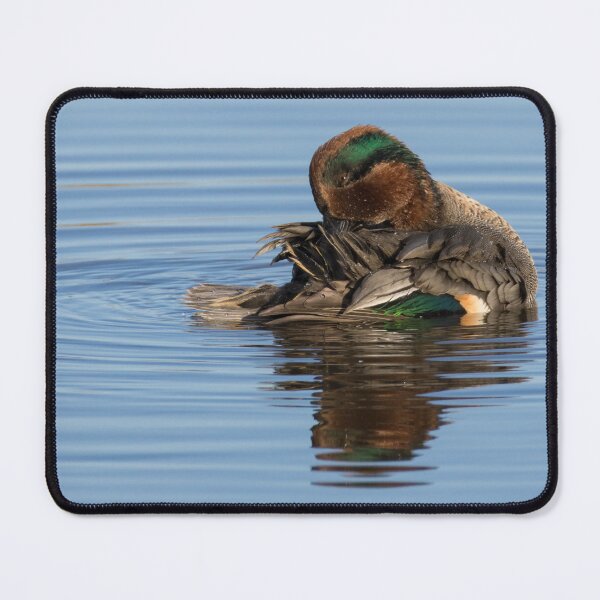 Item preview, Eurasian Teal designed and sold by LaurenTucker.