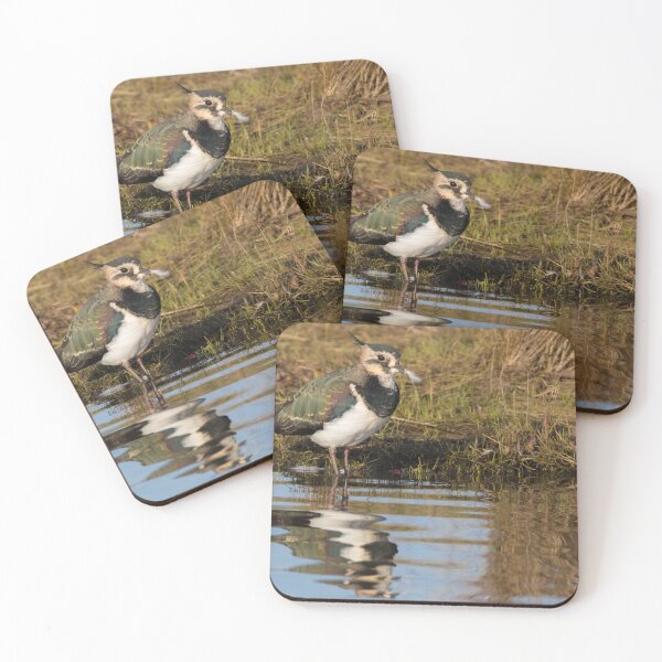 Item preview, Lapwing designed and sold by LaurenTucker.