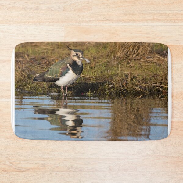 Item preview, Lapwing designed and sold by LaurenTucker.