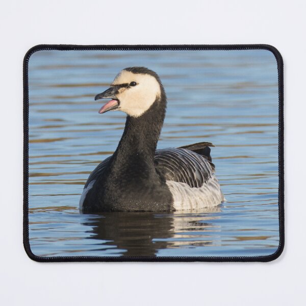 Item preview, Barnacle Goose designed and sold by LaurenTucker.