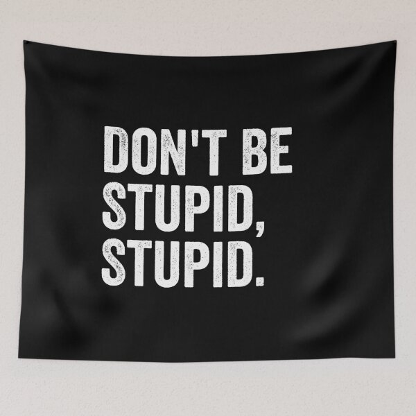 Item preview, Don't Be Stupid, Stupid. - Sarcastic Saying designed and sold by kevzadevinca.