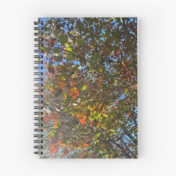 Item preview, Fall Leaves designed and sold by Lauracolleen3.
