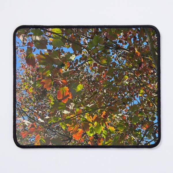 Item preview, Fall Leaves designed and sold by Lauracolleen3.