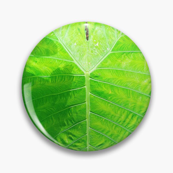 Item preview, Heart shaped leaf designed and sold by JCis1WTL.