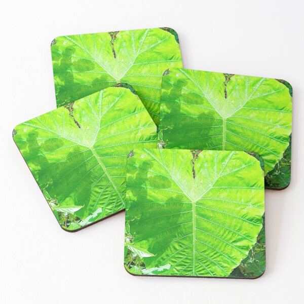 Item preview, Heart shaped leaf designed and sold by JCis1WTL.