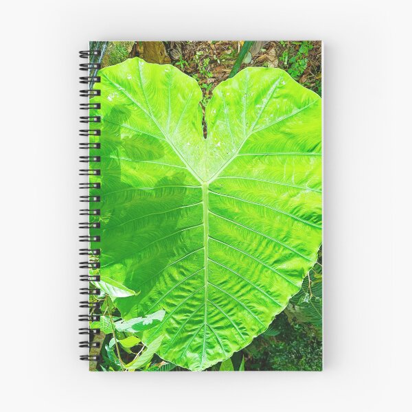 Item preview, Heart shaped leaf designed and sold by InanaIstar.