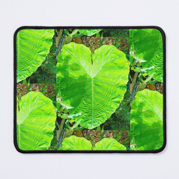 Item preview, Heart shaped leaf designed and sold by JCis1WTL.