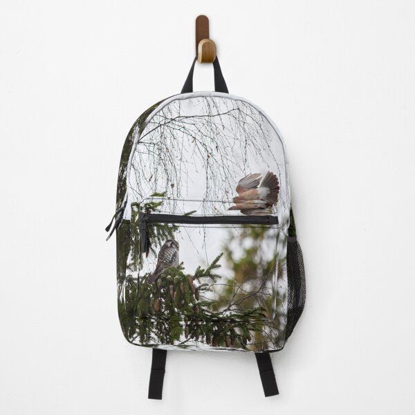 Item preview, Jayed. Northern hawk-owl designed and sold by Jouko Lehto Photography.