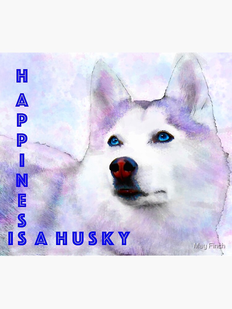 the rainbow husky