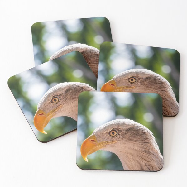 Item preview, "Eagle Eye" A beautifully fierce Bald Eagle closeup headshot photo designed and sold by RealmOfImages.