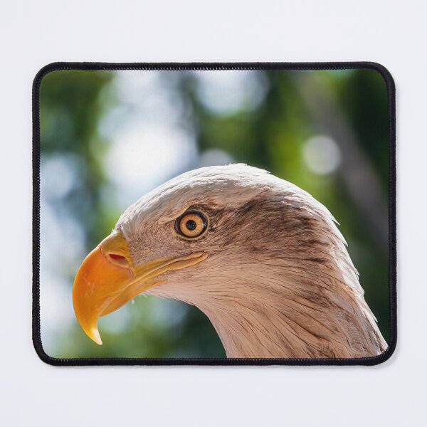 Item preview, "Eagle Eye" A beautifully fierce Bald Eagle closeup headshot photo designed and sold by RealmOfImages.
