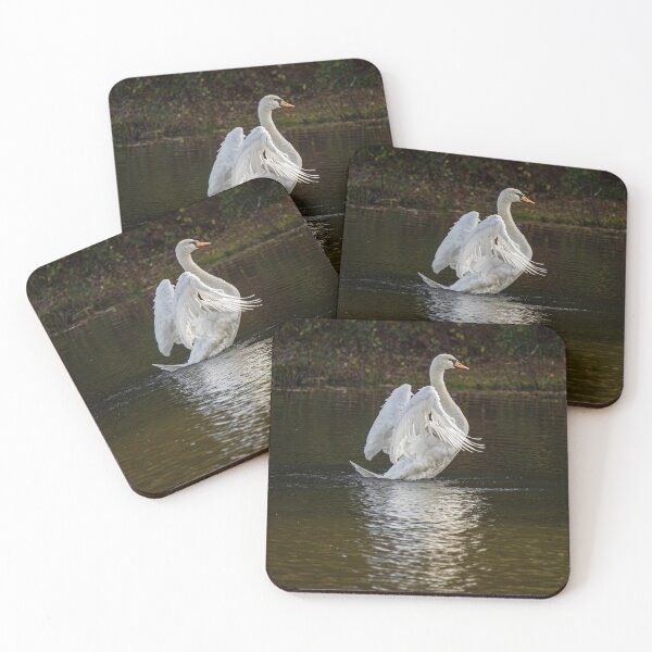 Item preview, Majestic Swan Flapping Wings Photo In Pond designed and sold by RealmOfImages.