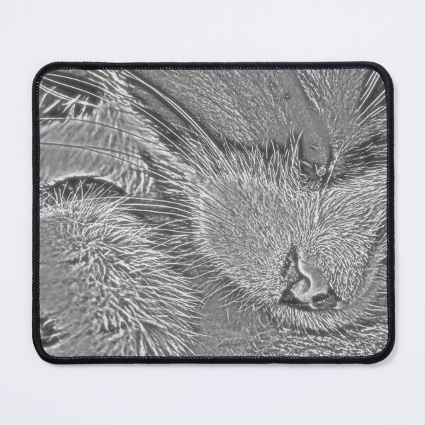 Item preview, Cute Pencil Sleeping Cat for Cat Lovers designed and sold by SwanAndStone.