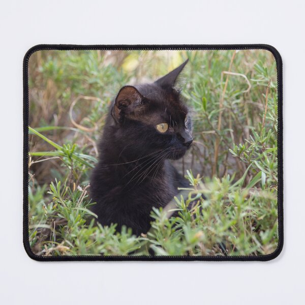 Item preview, Black Cat Half Profile designed and sold by SweepingShadows.