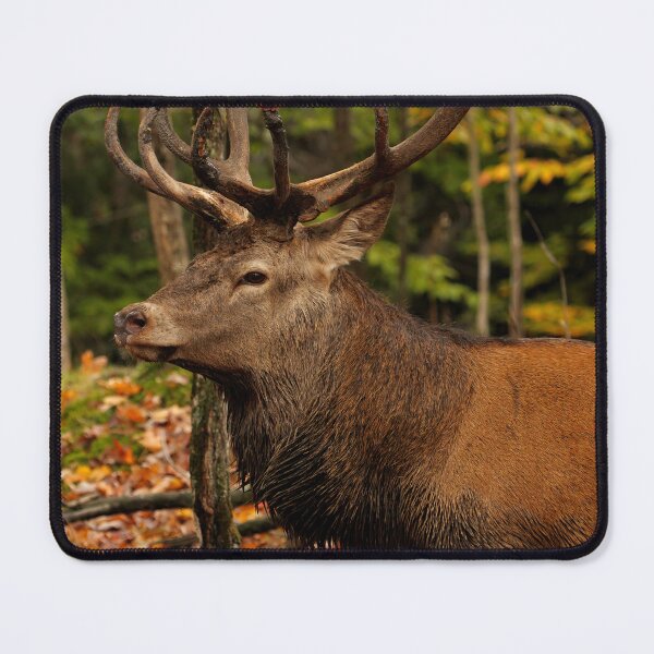 Item preview, Deer in Autumn designed and sold by locustgirl.