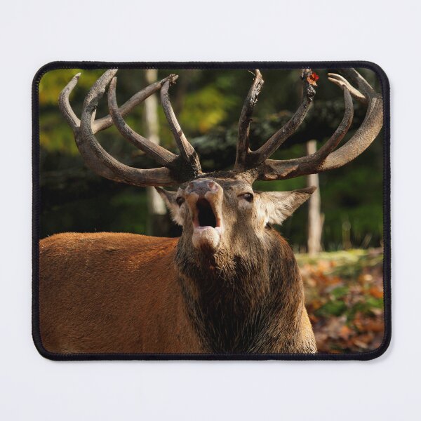 Item preview, The rutting season designed and sold by locustgirl.