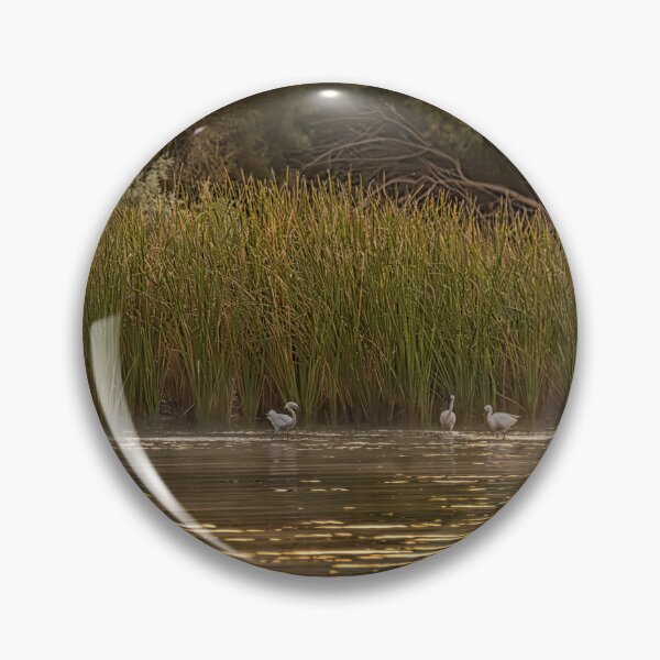 Item preview, Snowy Egrets Early Morning designed and sold by Debra Martz.