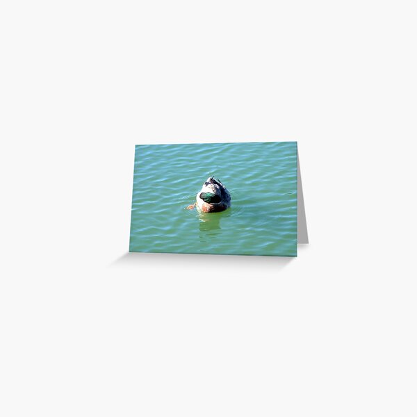 Bottoms Up! Greeting Card