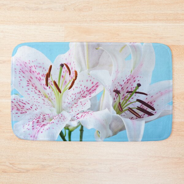 Item preview, Lilium  'Extravaganza'  Lily  Oriental hybrid  designed and sold by Chris Burrows.