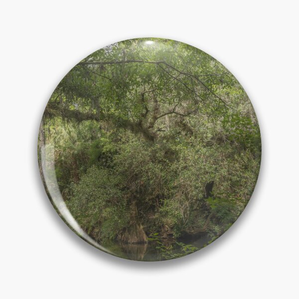 Item preview, Ancient mangrove trees at the Hillsborough River State Park designed and sold by EyezWatchin.