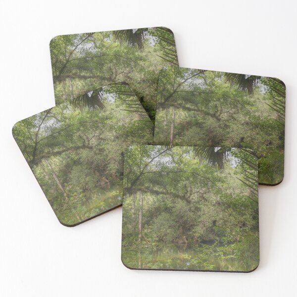 Item preview, Ancient mangrove trees at the Hillsborough River State Park designed and sold by EyezWatchin.