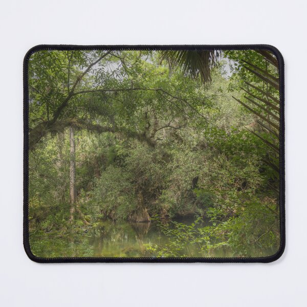 Item preview, Ancient mangrove trees at the Hillsborough River State Park designed and sold by EyezWatchin.