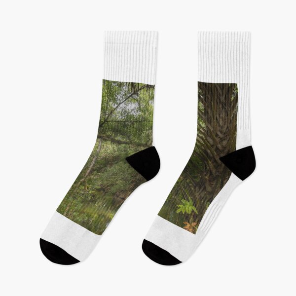 Item preview, Ancient mangrove trees at the Hillsborough River State Park designed and sold by EyezWatchin.