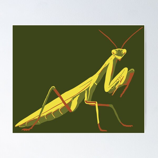 Artikelvorschau, Gottesanbeterin, Entomologie Geschenk entworfen und verkauft von mermaidronnie.