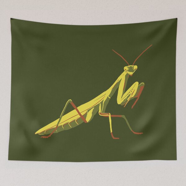 Item preview, Praying Mantis, Entomology Gift designed and sold by mermaidronnie.