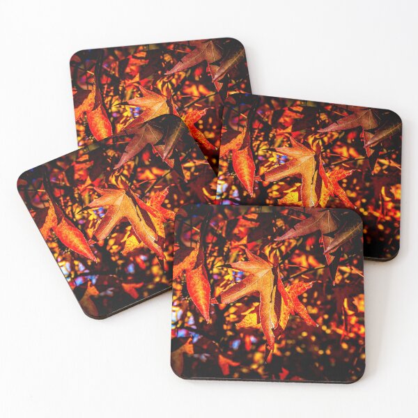 Item preview, Autumn Acer designed and sold by Mothboybrown.