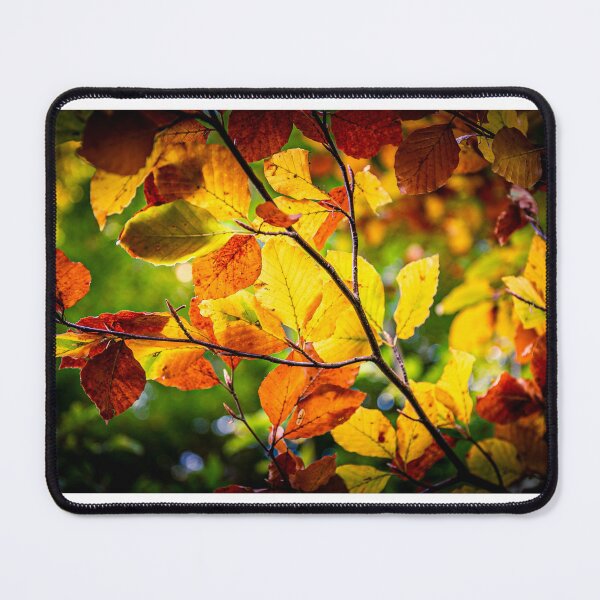 Item preview, Autumn Colours designed and sold by Mothboybrown.