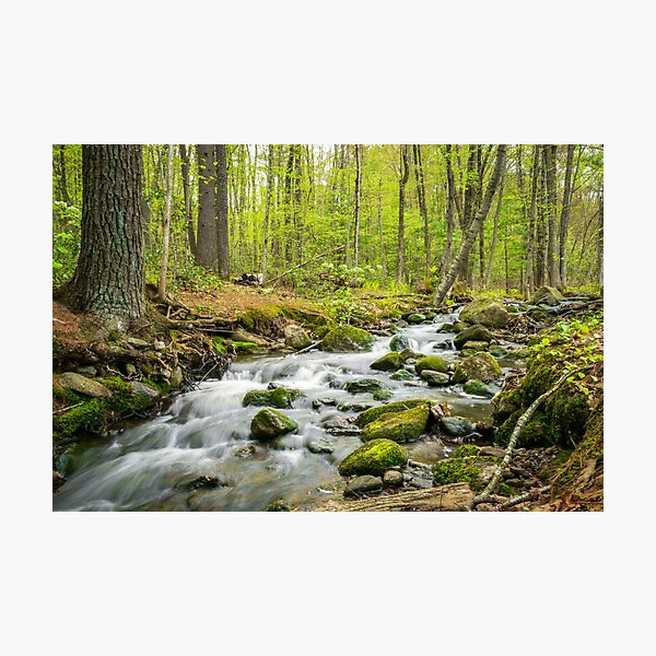 Item preview, NH Summer Brook Flow Long Exposure Photography designed and sold by RealmOfImages.