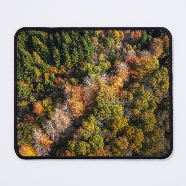 Item preview, Autumn colours in Wales designed and sold by Leighton Collins.