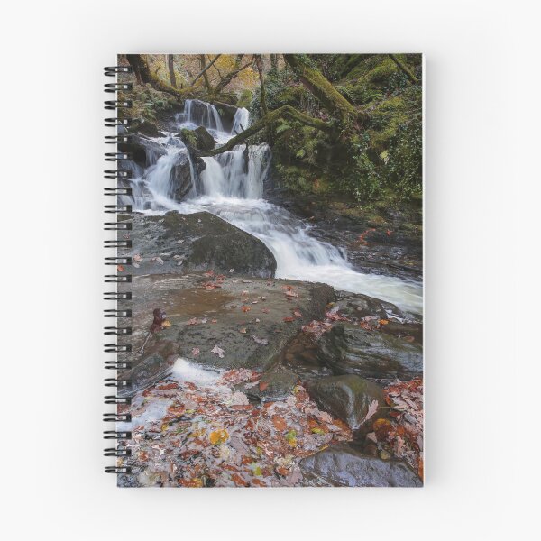 Item preview, Autumn colours at Melincourt Brook designed and sold by Leighton Collins.