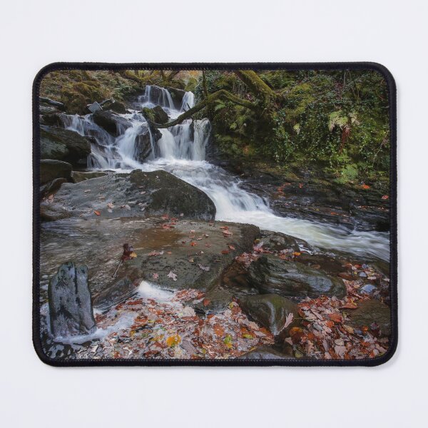 Item preview, Autumn colours at Melincourt Brook designed and sold by Leighton Collins.