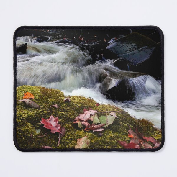 Item preview, Autumn leaves at Melincourt designed and sold by Leighton Collins.