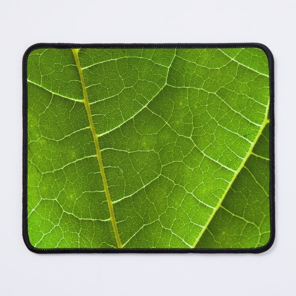 Item preview, Veins of Life designed and sold by Tim McGuire Fine Art.