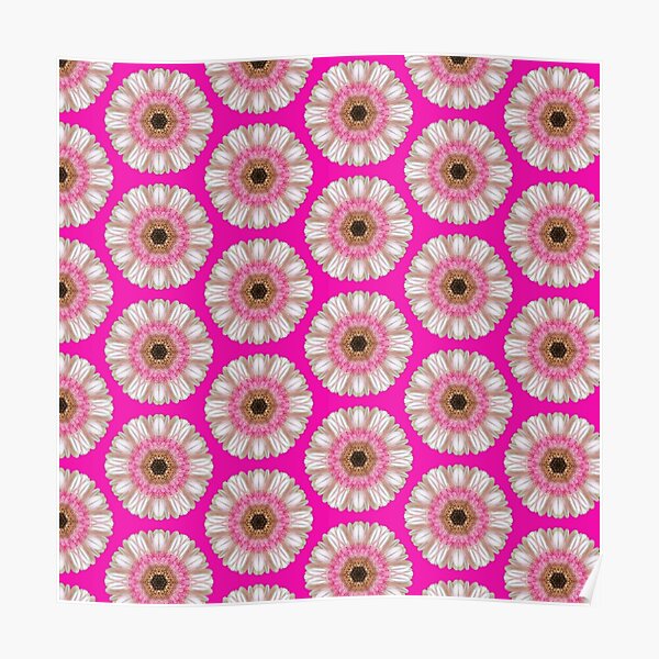 Pink gerbera on bright pink Poster