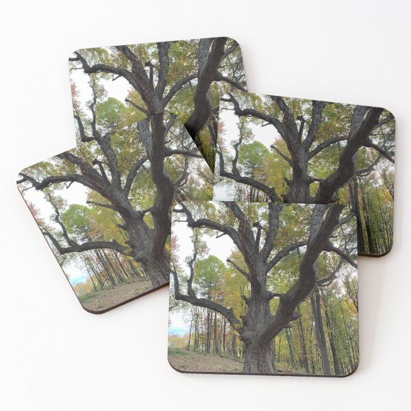 Item preview, Autumn Leaves and Twisting Branches  designed and sold by TimelapTravel.
