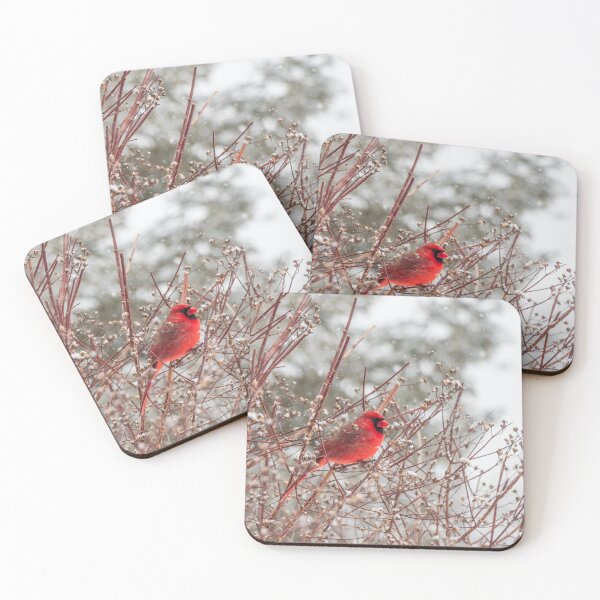 Item preview, Winter Male Cardinal Photograph NH designed and sold by RealmOfImages.