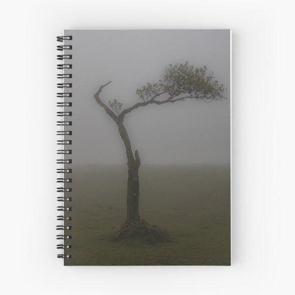 Item preview, A lone tree in the Fanal Forest designed and sold by Shona Eagles.