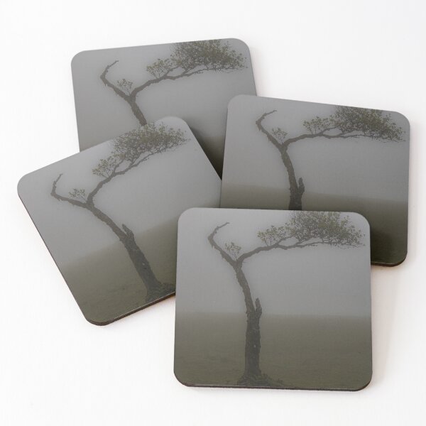Item preview, A lone tree in the Fanal Forest designed and sold by Shona Eagles.