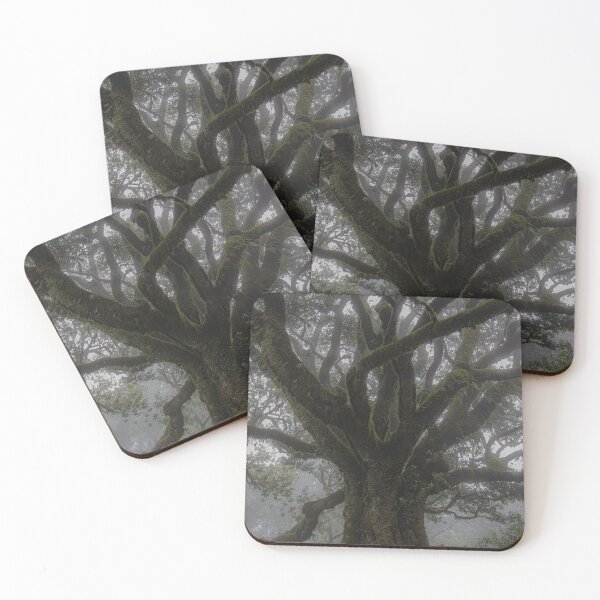 Item preview, Fanal Forest designed and sold by Shona Eagles.