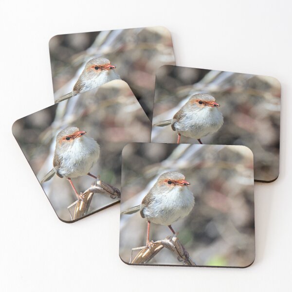 Item preview, Fairywren perched on a branch designed and sold by BirdsAlive.