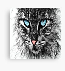 Blue Eyes Cat by FreddiJr Canvas Print