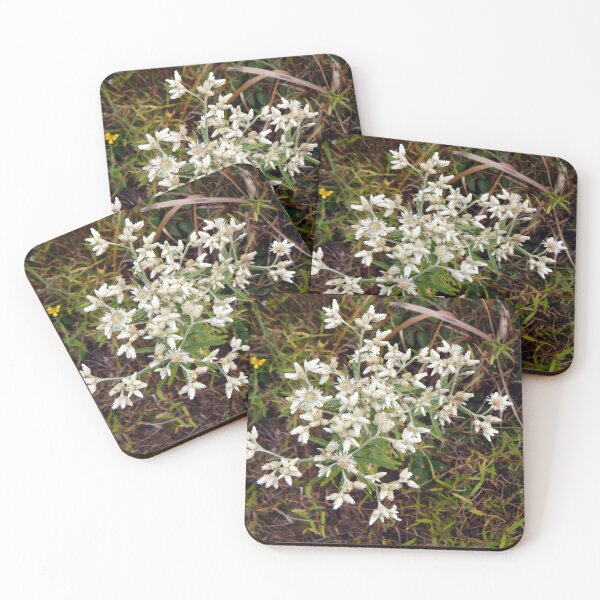 Item preview, Sweet Everlasting Flowers designed and sold by gistinker.