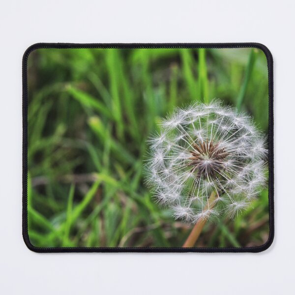 Item preview, Dandelion Fluff, No.2 designed and sold by danasdiary.