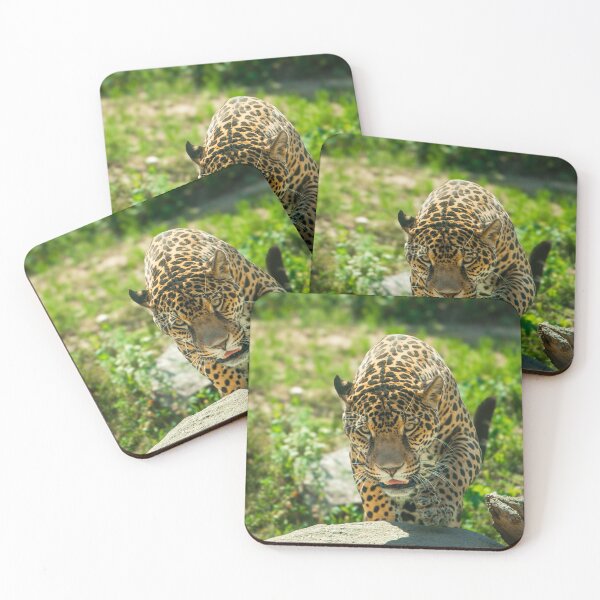 Item preview, Leopard Approaching Photograph designed and sold by RealmOfImages.