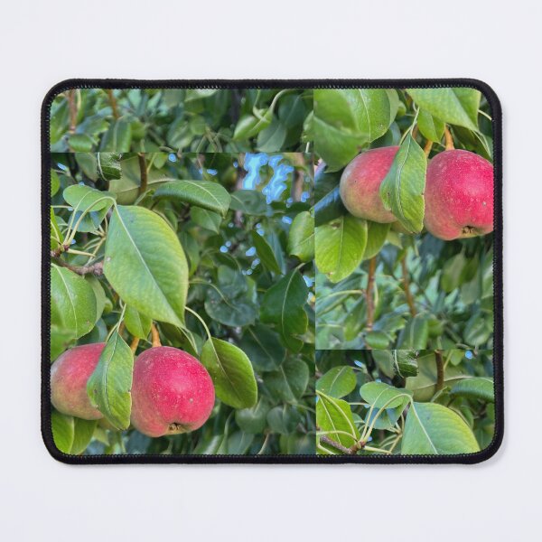 Item preview, Two Hanging Pears  designed and sold by EmmaLilStudio.