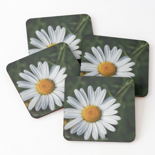 Aperçu de l'œuvre Une marguerite créée et vendue par danasdiary.